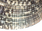 &copy; Thijs de Boer